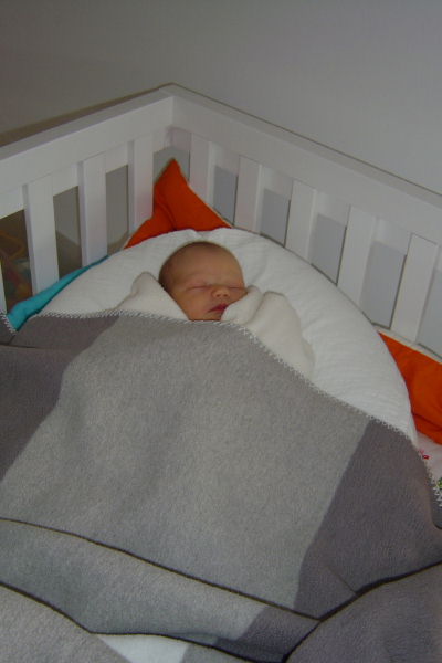 Image 29 of 56  -  32 kB